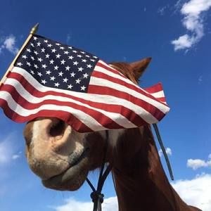 Meet your Posher, Holly